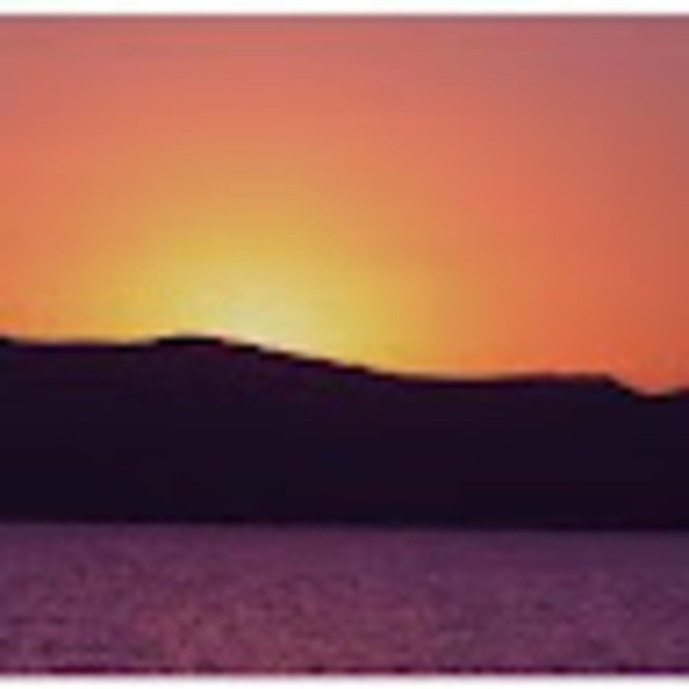 Meet your Posher, Sienna